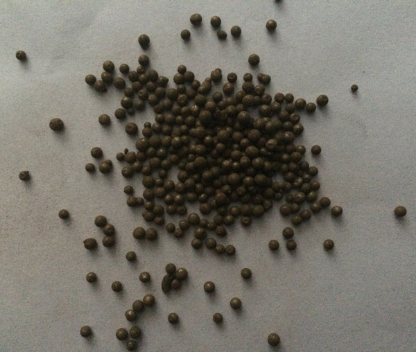 不拋光鐵丸(圖1)